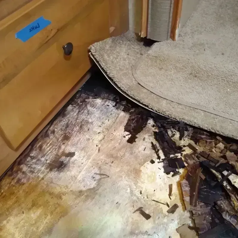 Wood Floor Water Damage in Marianna, AR